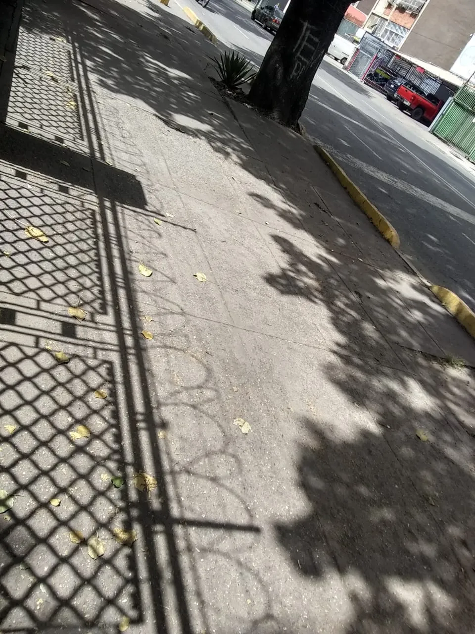 1745496760260310705043870261517.jpg