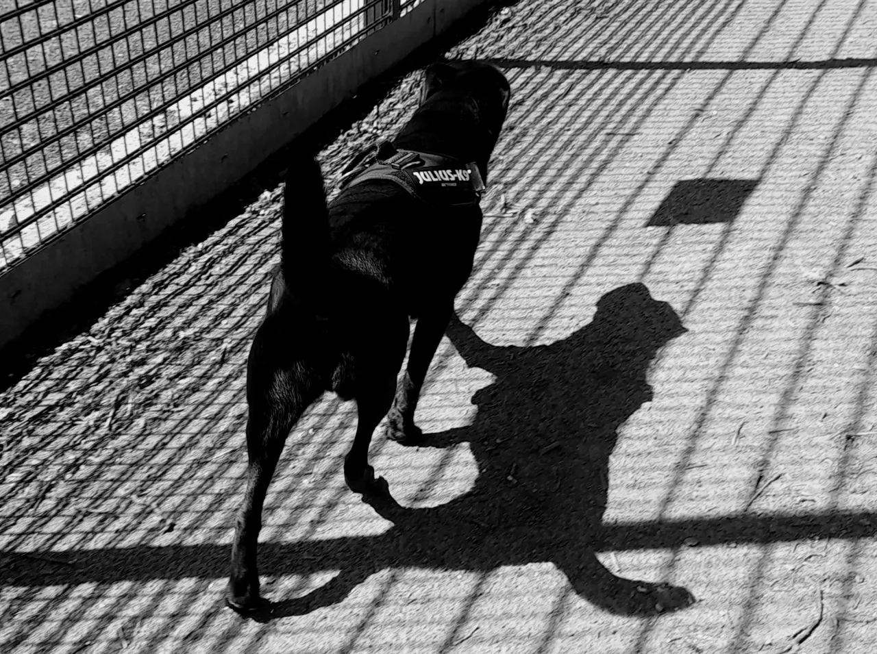 20230602_111715_1.jpg