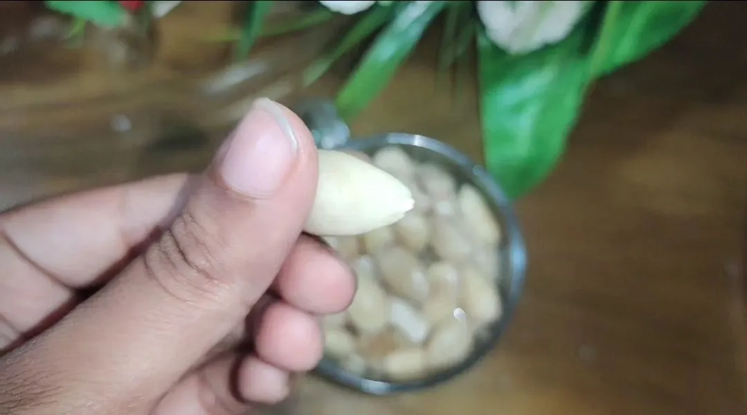 1000069905.jpg