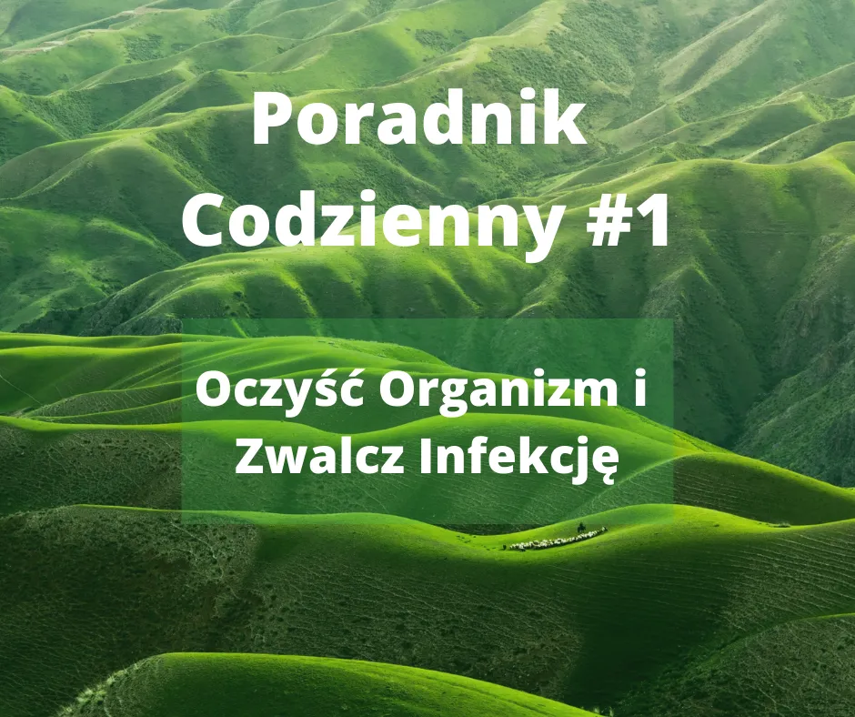 PoradnikCodzienny.png