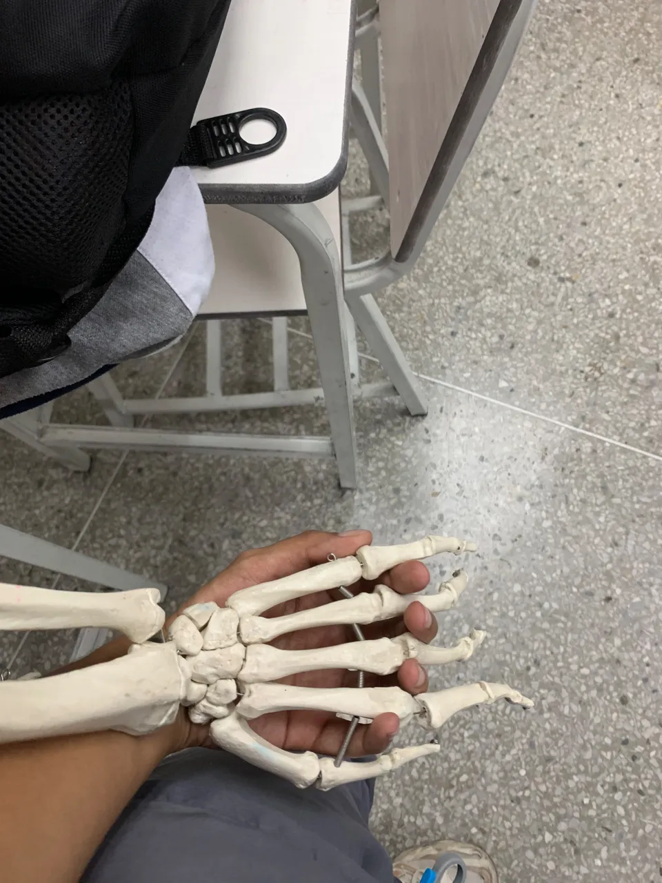IMG_0151.jpeg
