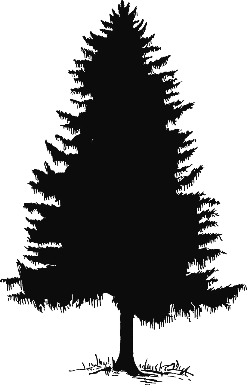 pine-tree-tree-silhouette-and-clip-art-on-2-pine-tree-silhouette-1012929.png