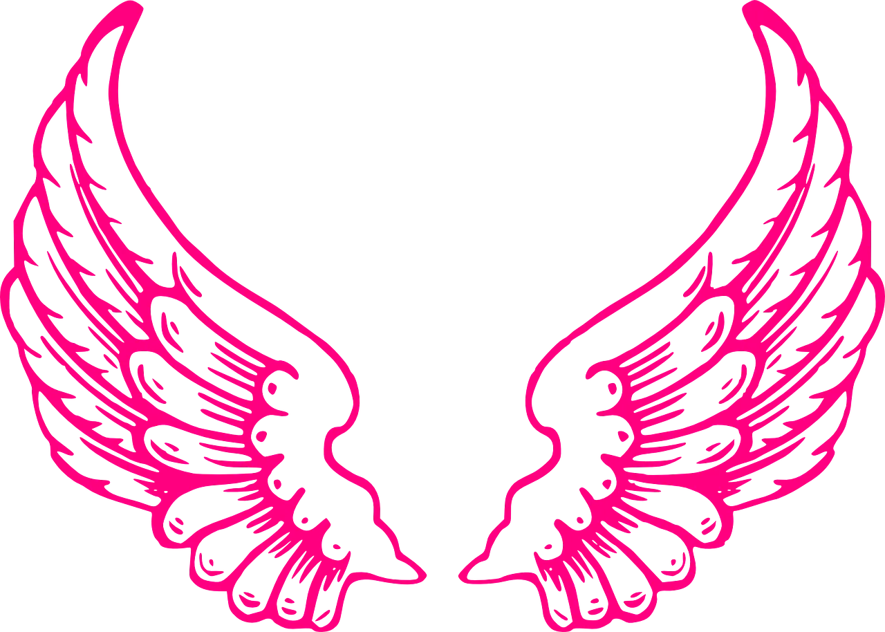 wings-304991_1280.webp