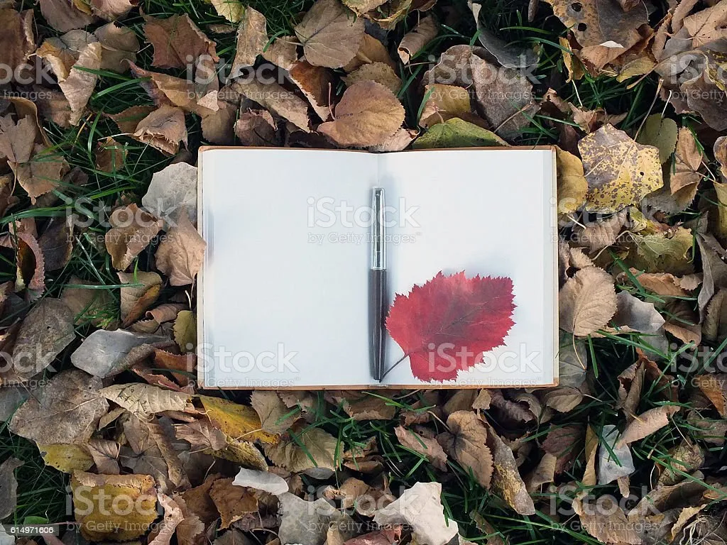 istockphoto-614971606-1024x1024.jpg