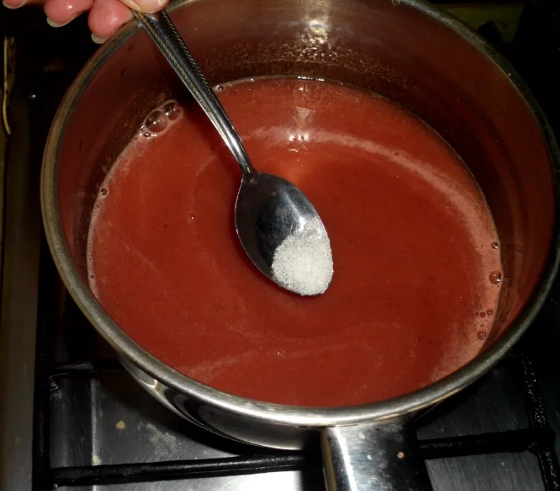 salsa 9.jpg