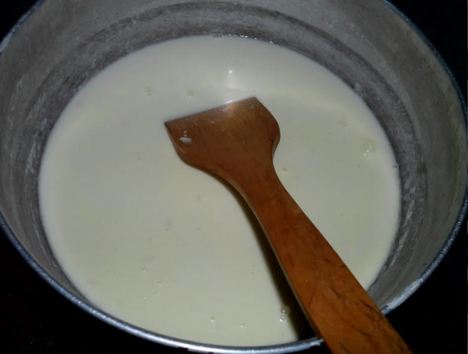 bechamel 5.jpg