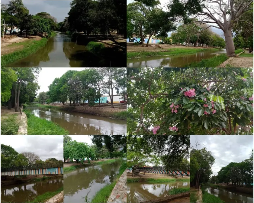 portada parque.png