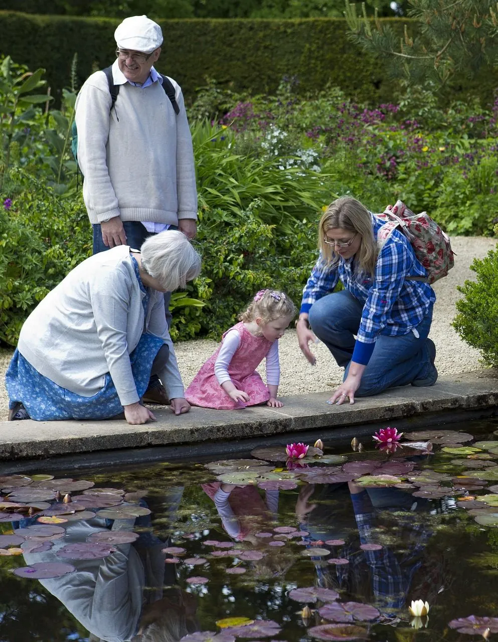 lilly-pond-805207_1280.jpg