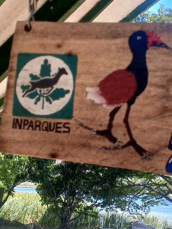 parquec11.png