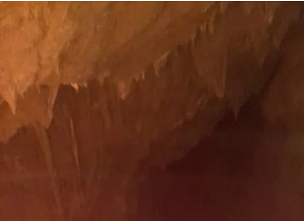 cueva 7.png