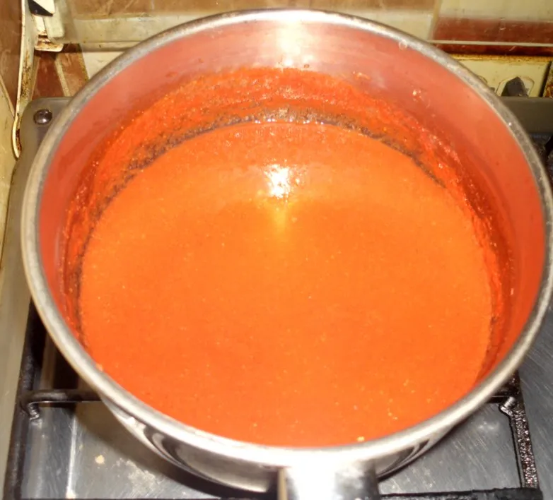 salsa 11.jpg