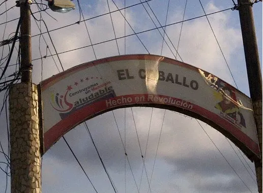 pariaguan20.png