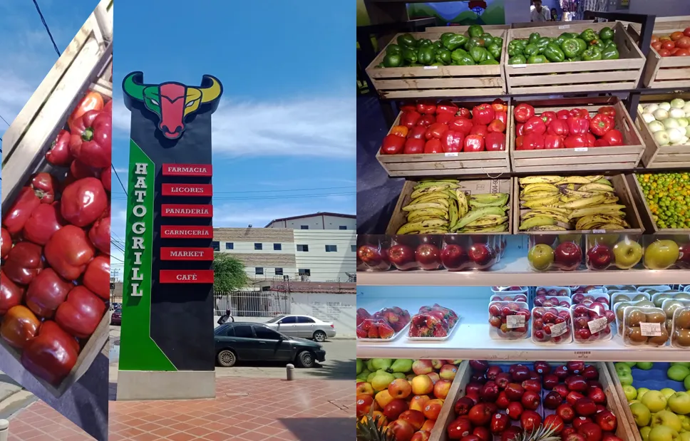 portada vegan.png