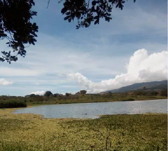 parque c.png