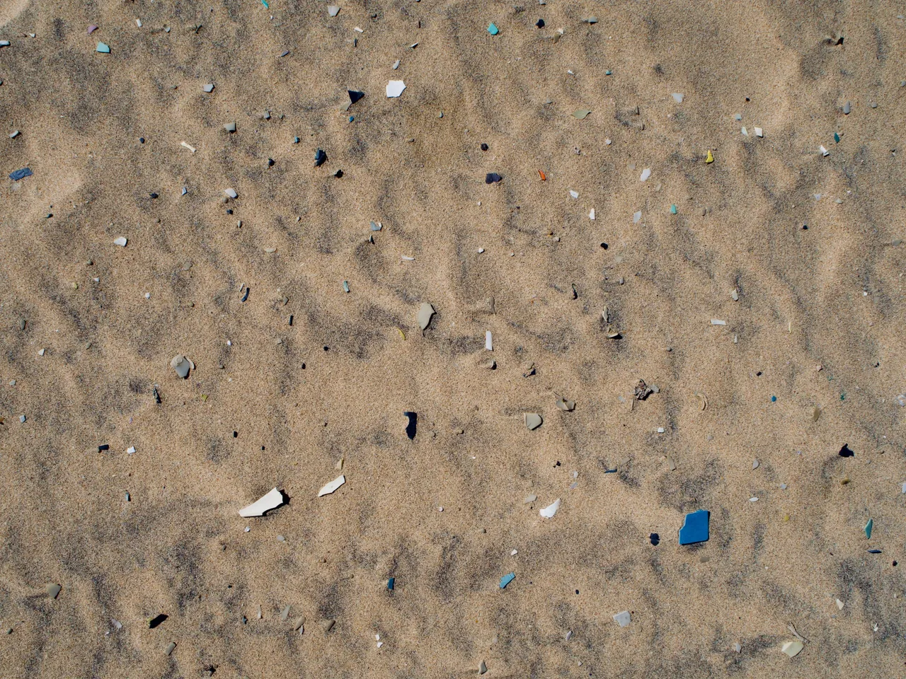P1012482.jpeg