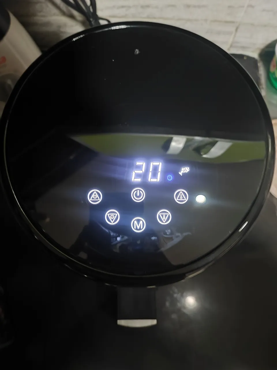 1000115167.jpg