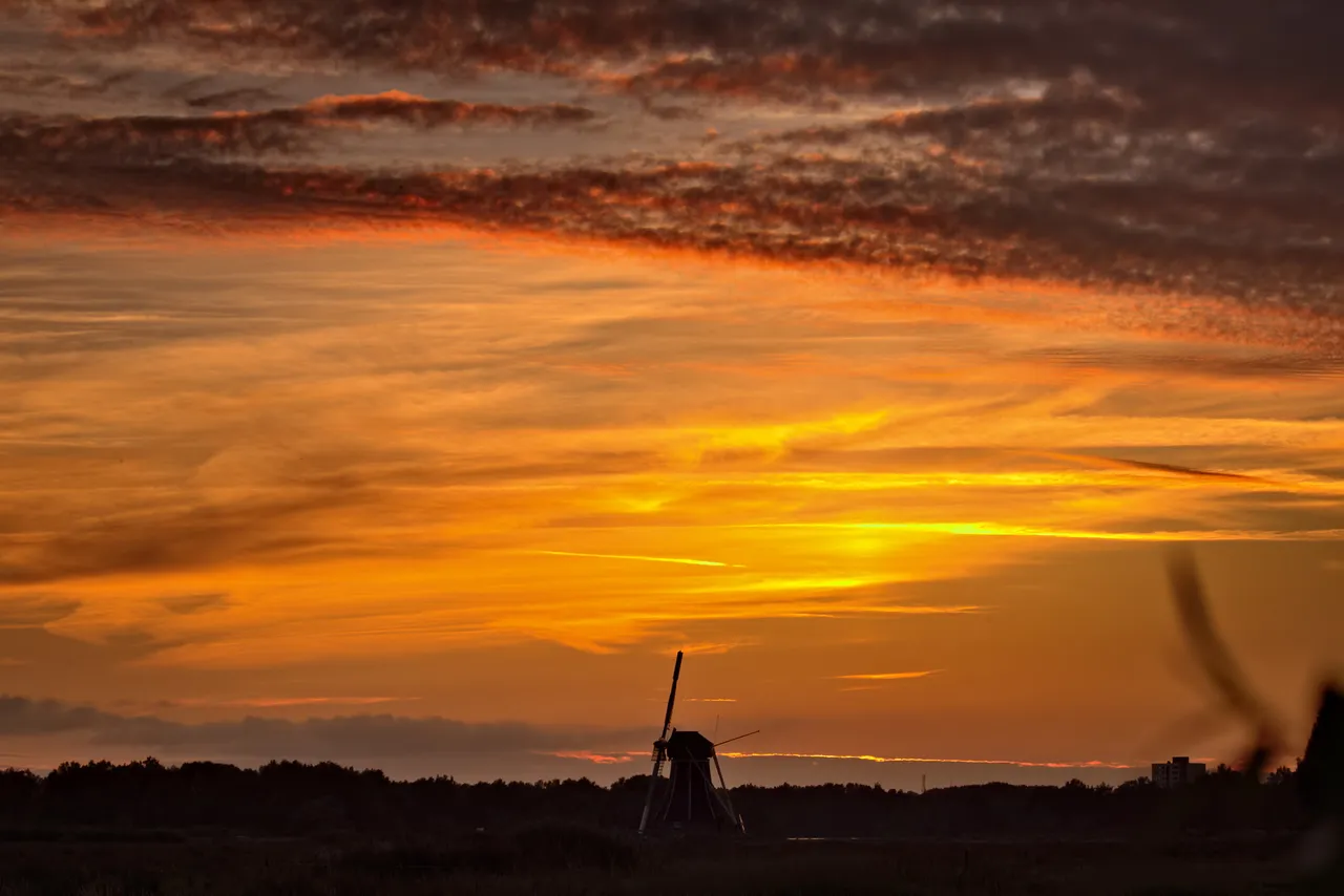 molen2.jpg