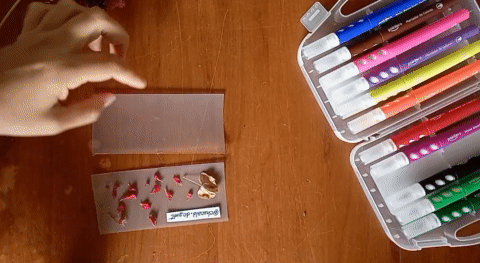 d9d449d4-393e-46cb-844e-9630166056e7.gif