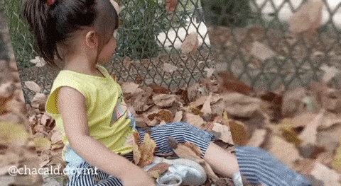 f4af3f53-5a74-4317-b2e2-641584bc8731-min.gif