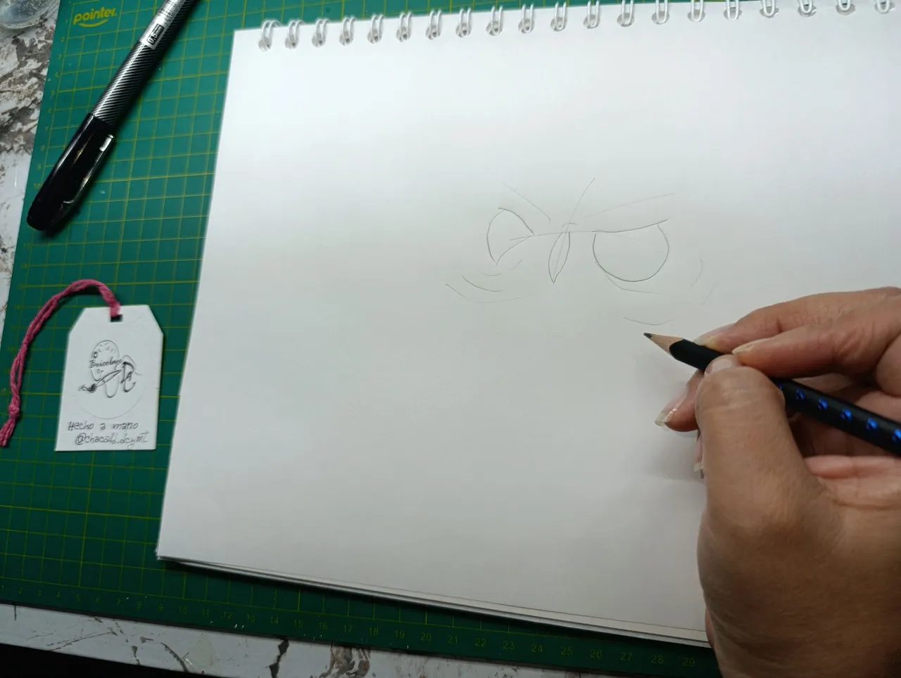 1000193031.jpg