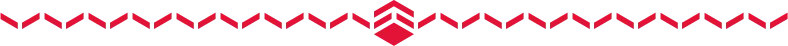 Hive_Logo_Divider(2).png