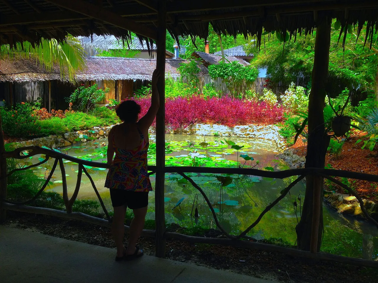 PARADISE AT KYN3.JPG
