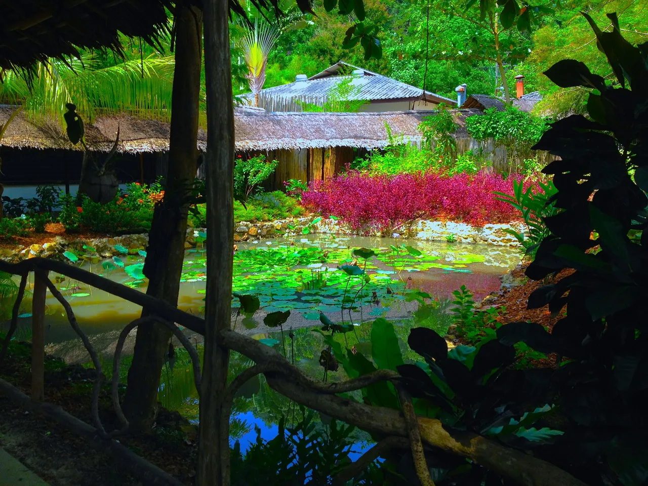 PARADISE AT KYN 2.JPG