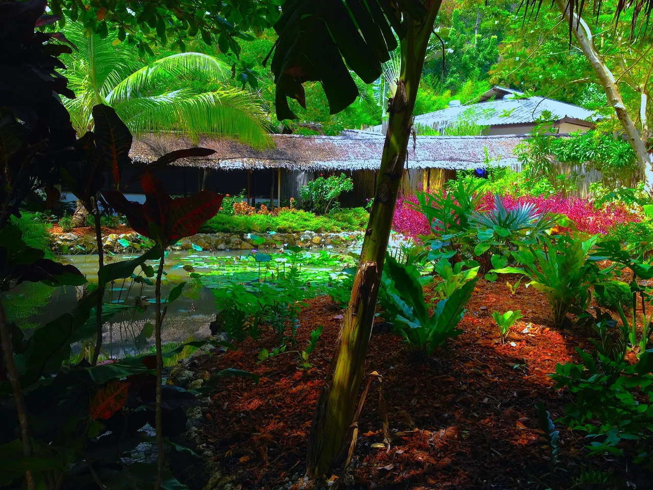 PARADISE AT KYN.JPG