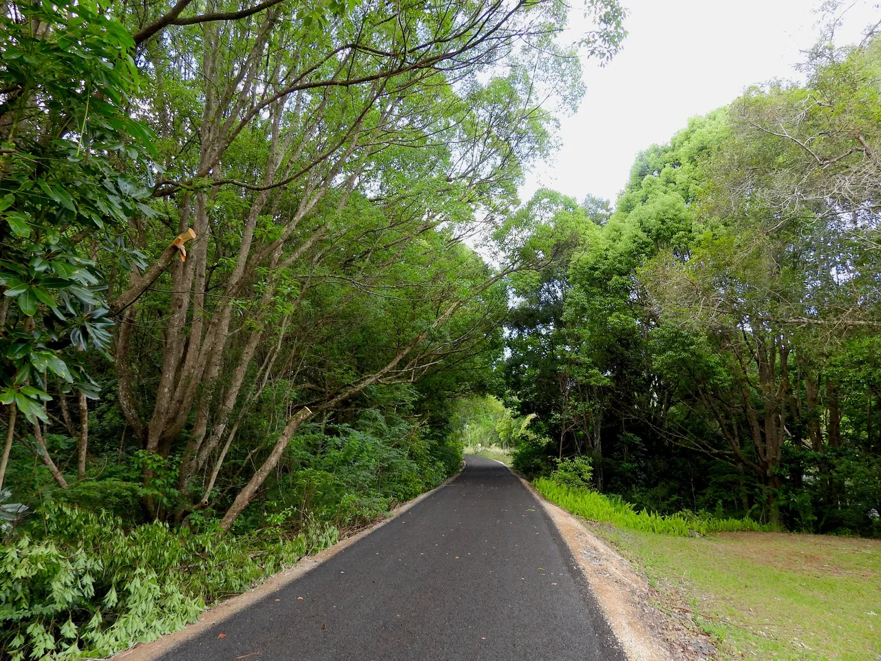railtrail.JPG