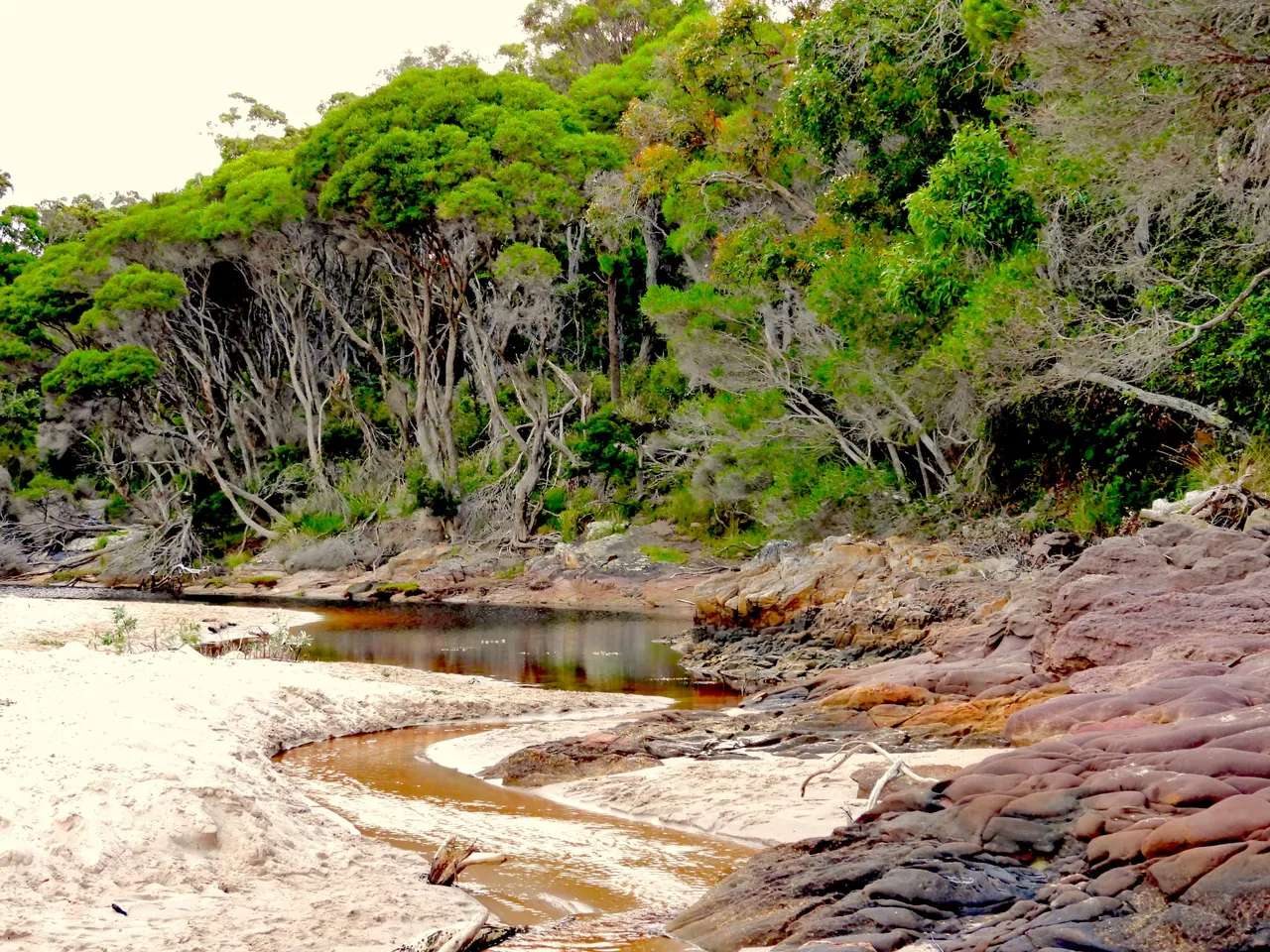back creek1.JPG