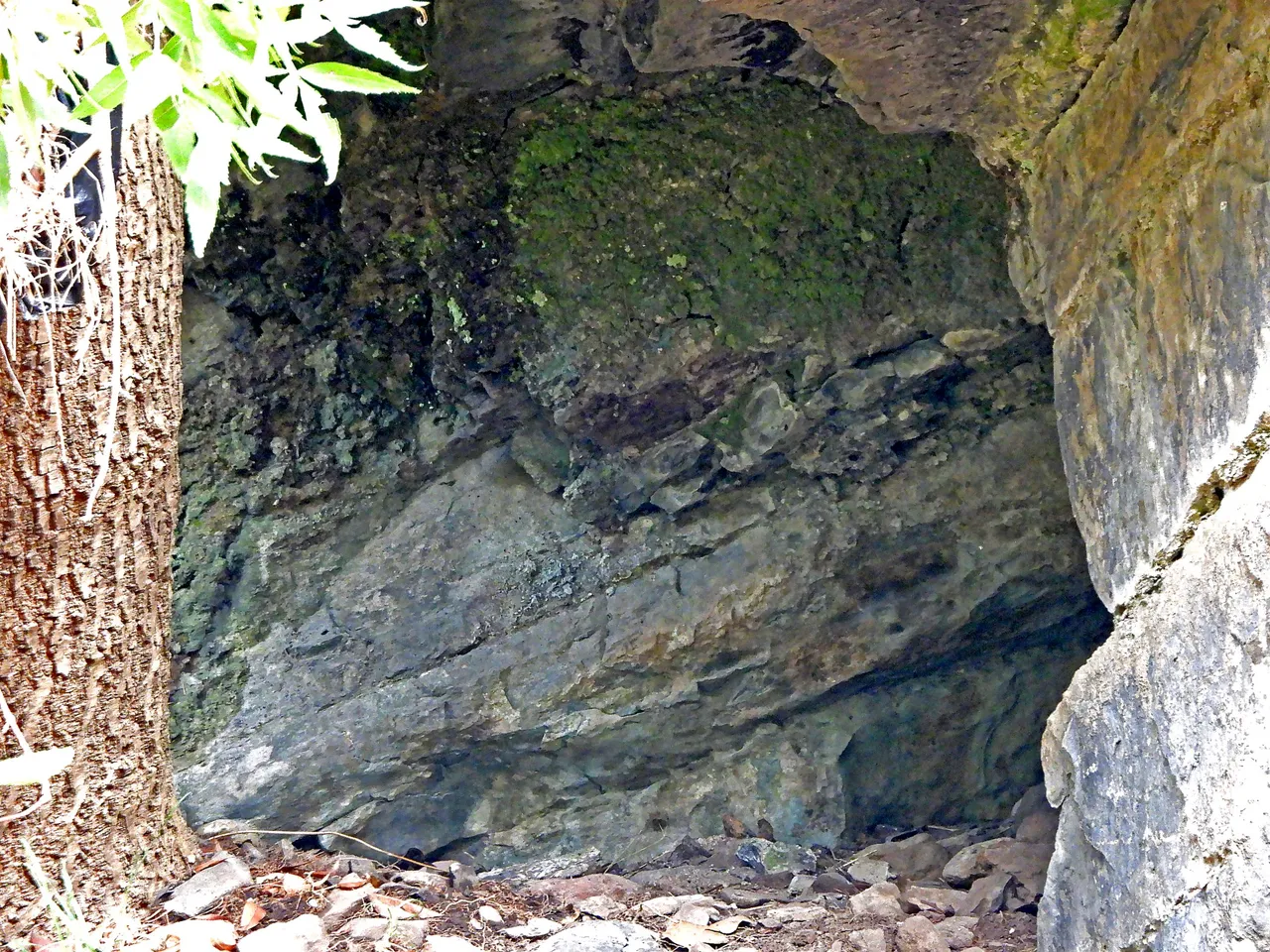 CAVE OPENING-CU.png