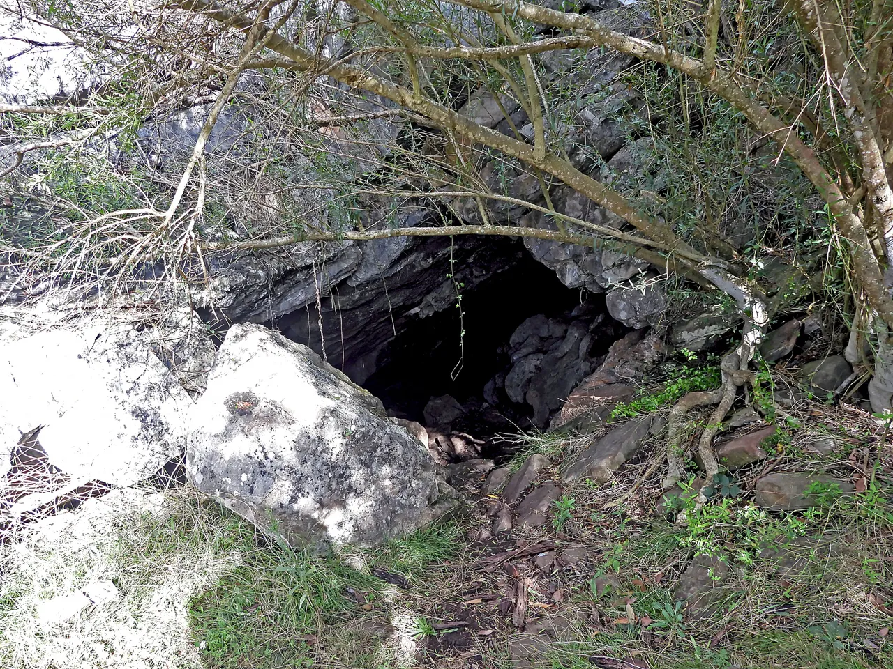 CAVE OPENING-MID.png