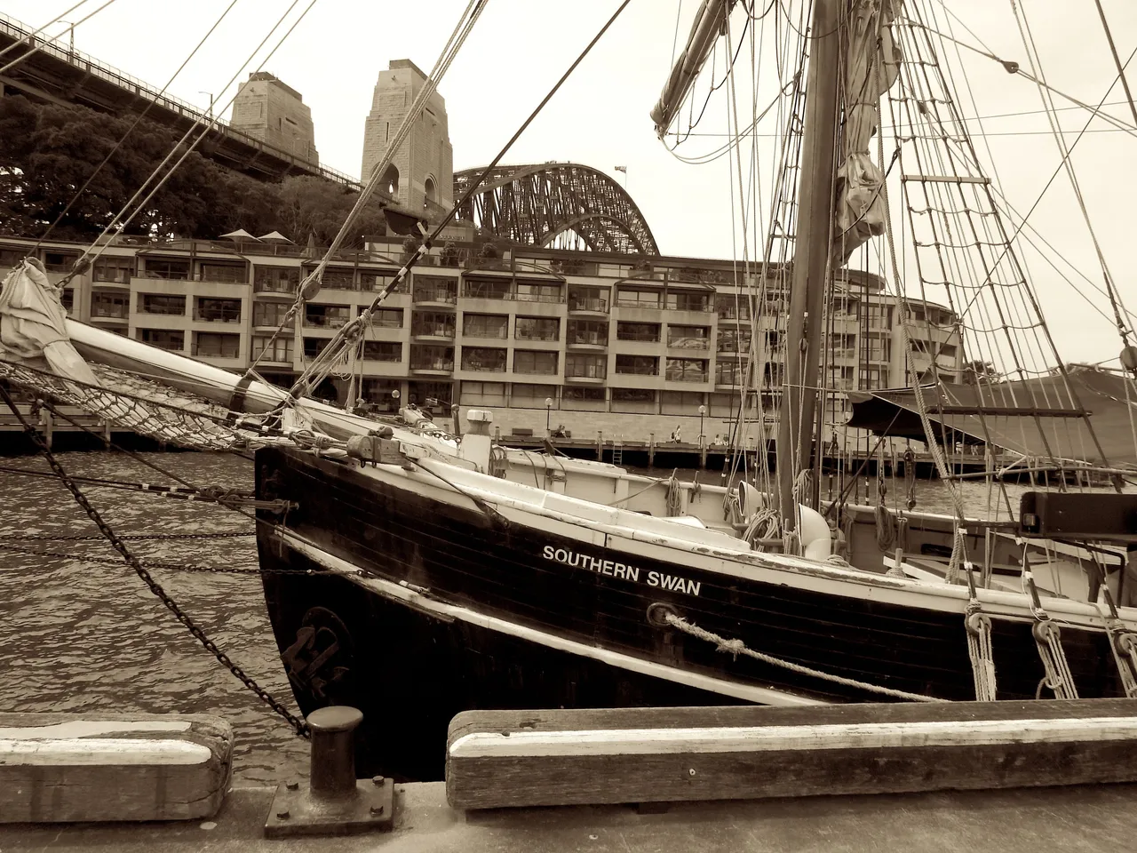 SOUTHERN SWAN BOW SIDE ON.JPG