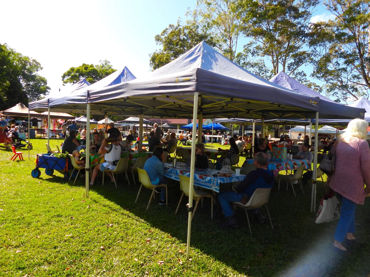 MURWILLEMBAH MARKETS.JPG