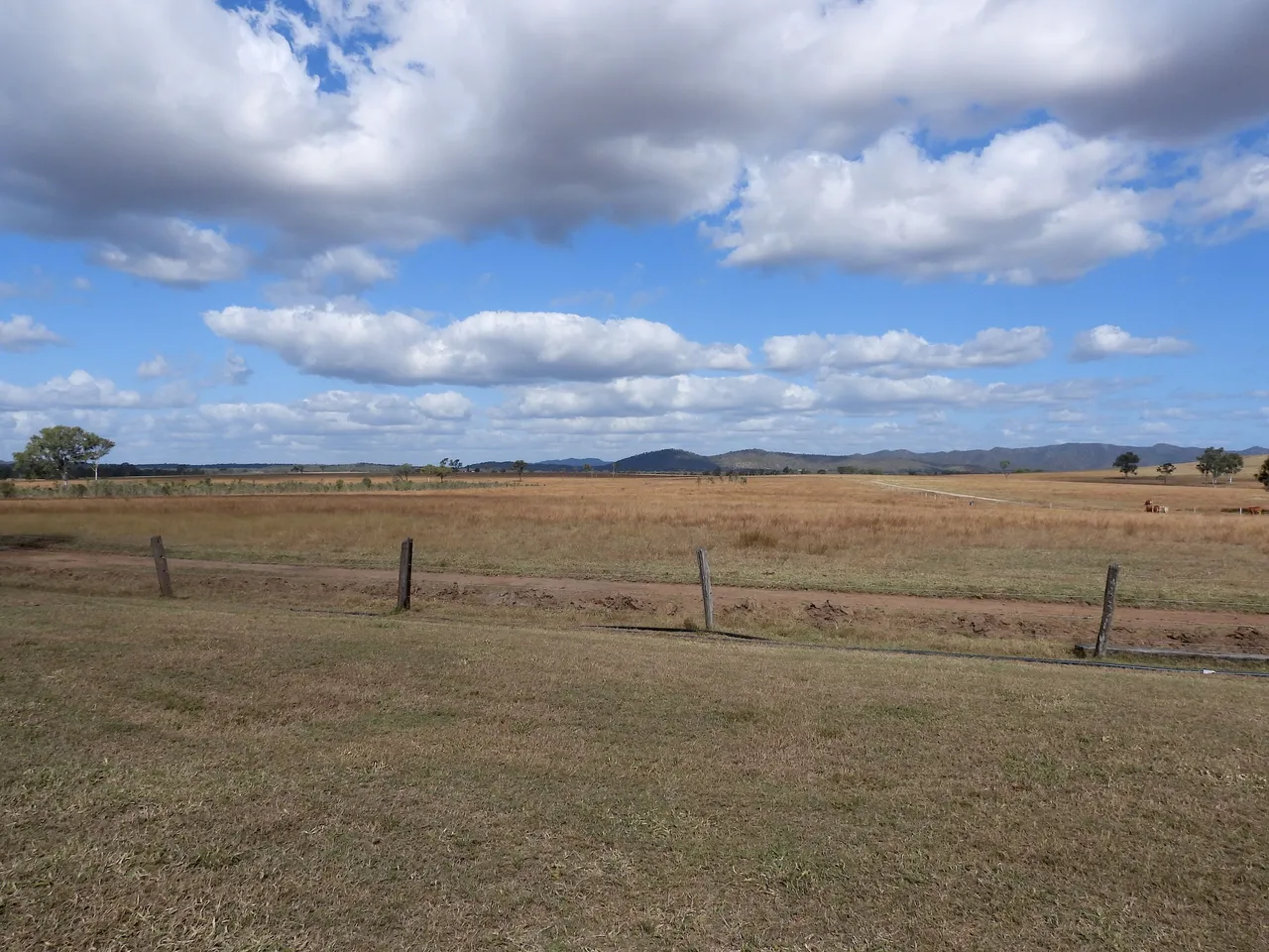 DSCN5615.JPG