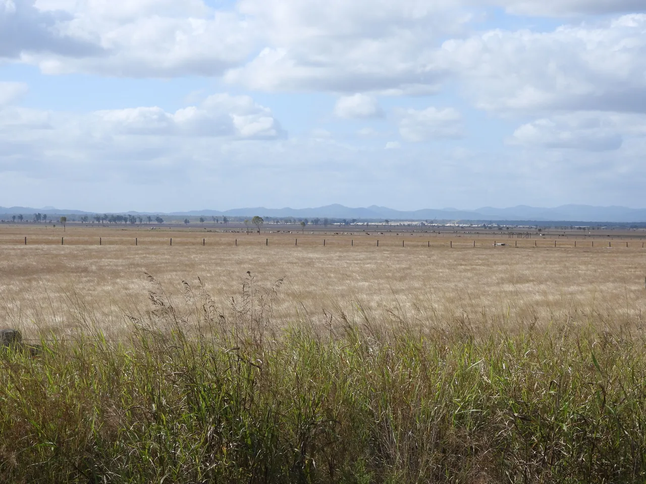 DSCN5592.JPG