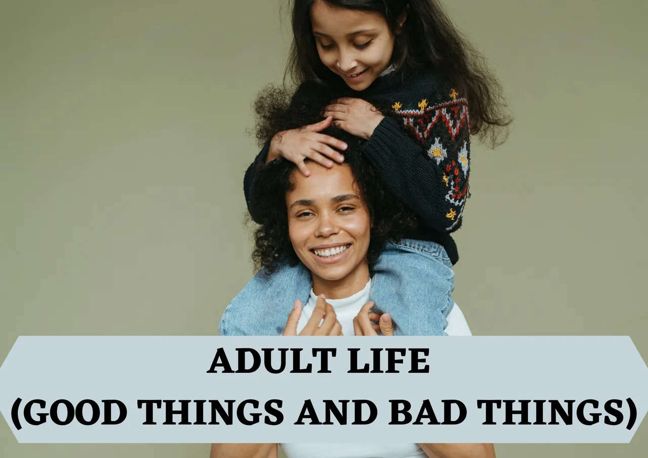 ADULT LIFE (GOOD THINGS AND BAD THINGS).png