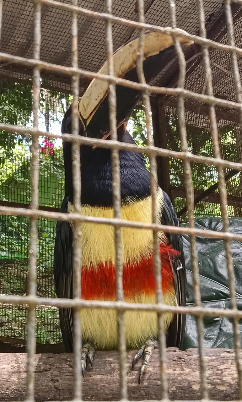 20240824_115412.jpg