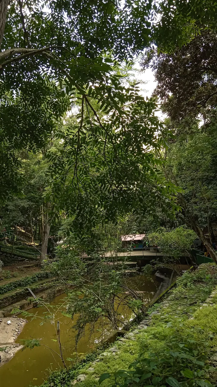20240824_111154.jpg