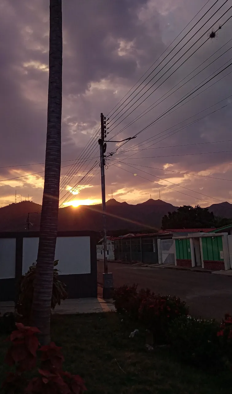 20250411_180616.jpg