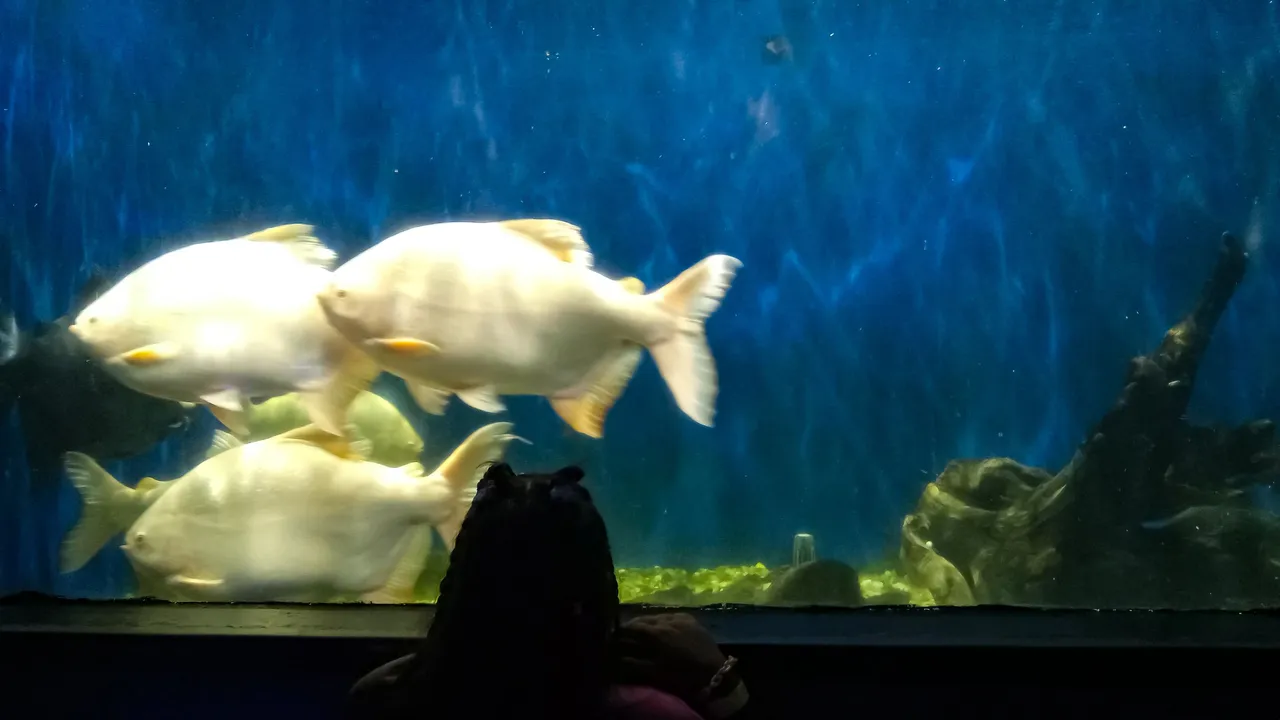 20240824_124711.jpg