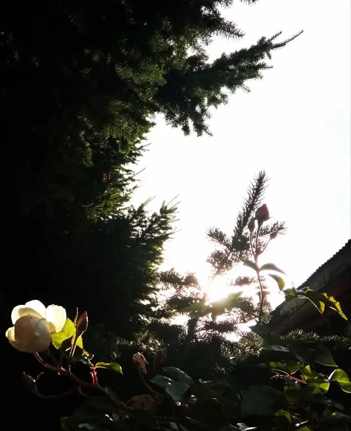 Screenshot_20250702_163422_Instagram.jpg