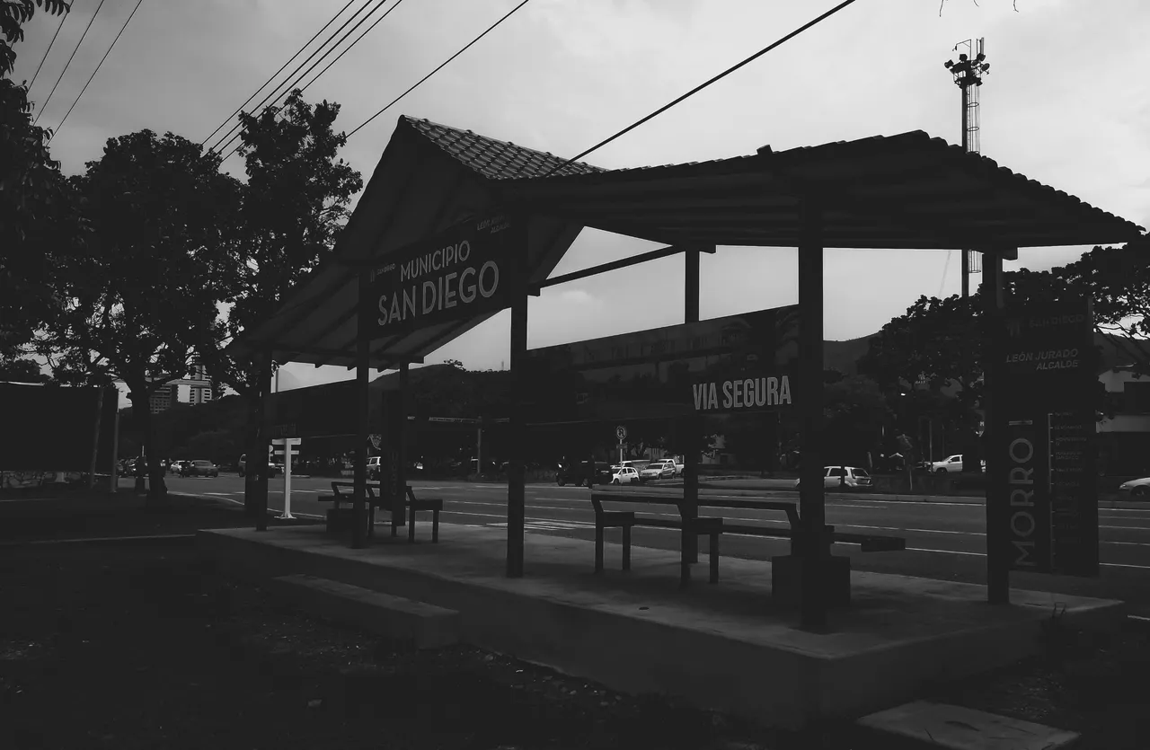 LRM_20230908_135708.jpg