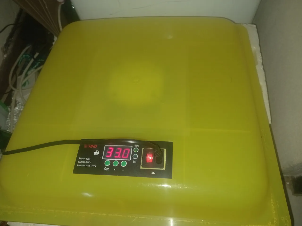 20220410_205931.jpg