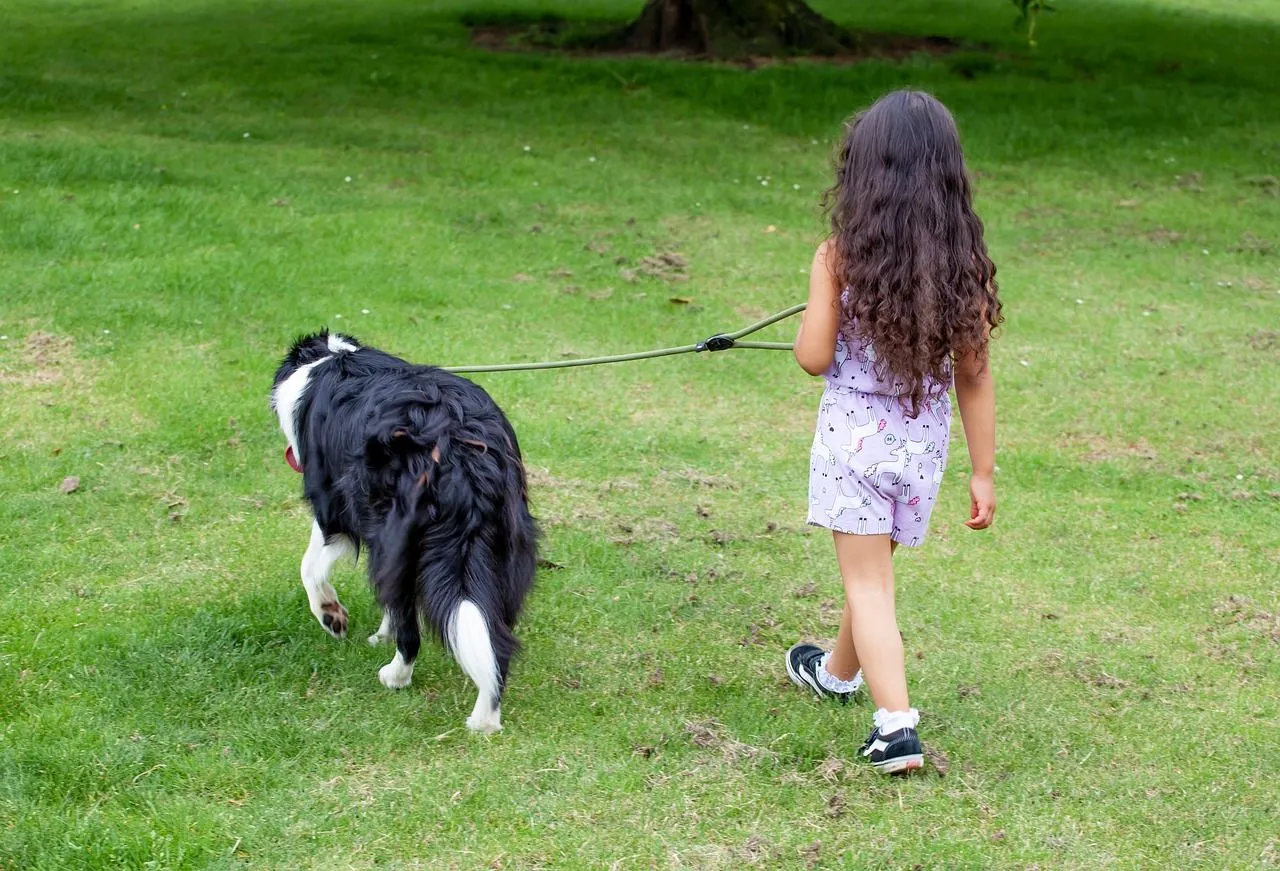 child-with-dog-4297148_1280.jpg