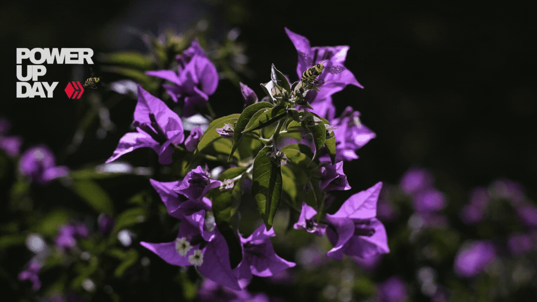 1st July.gif