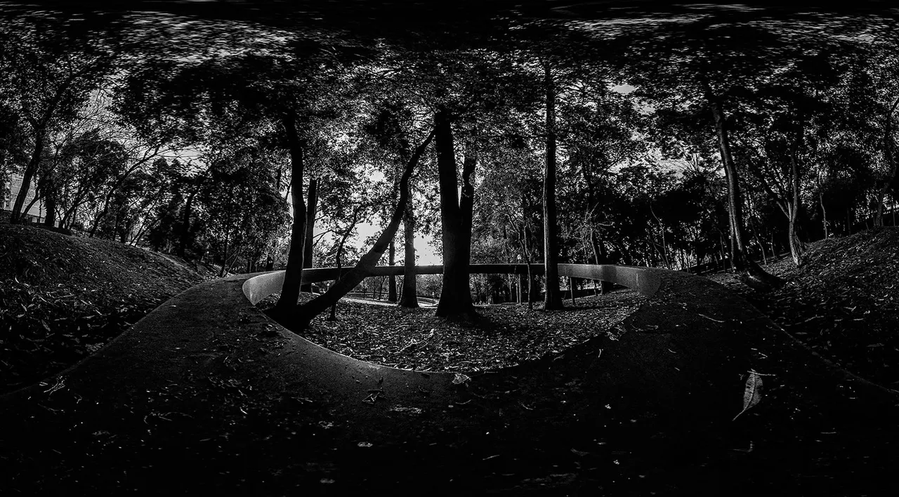 1-©PAULO ABRANTES_2018_5b.jpg