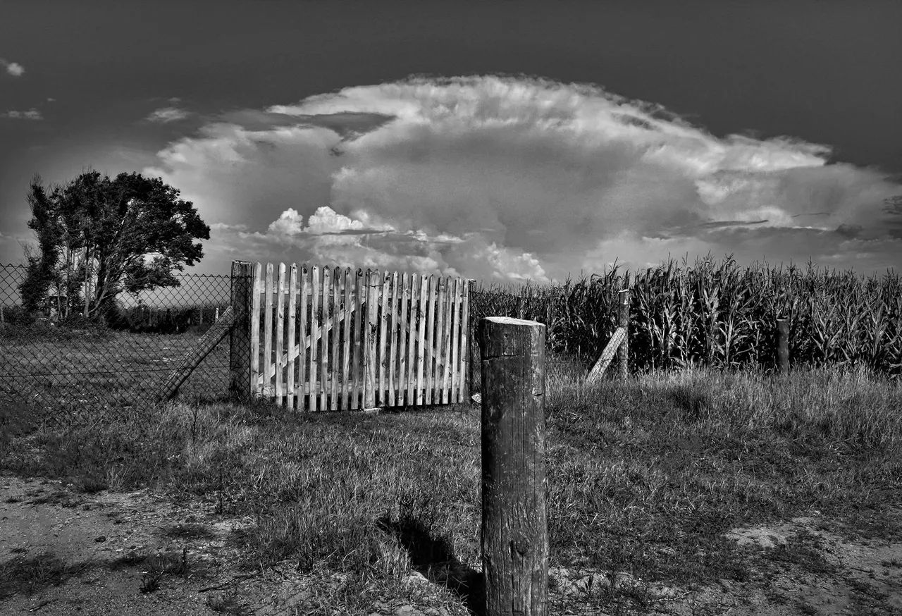 6-Being in the landscape.jpg