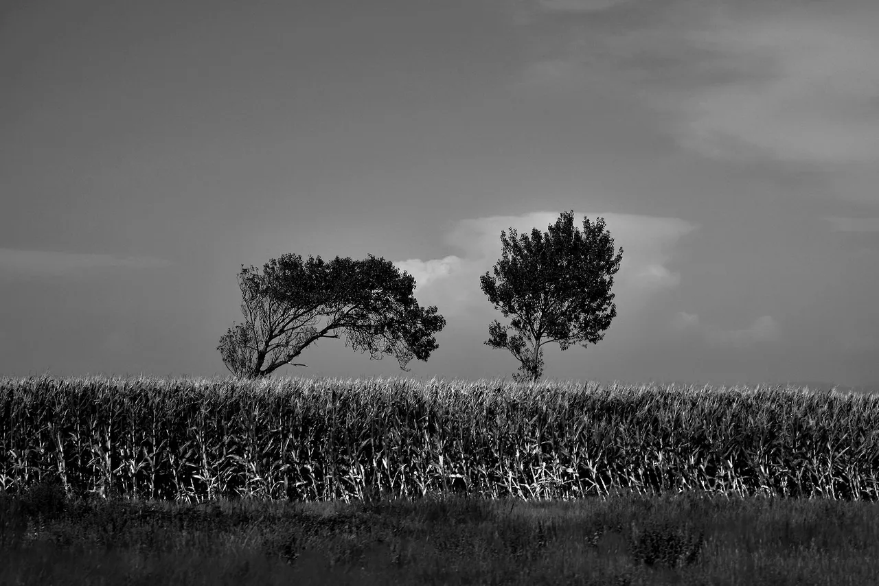 4-Being in the landscape.jpg