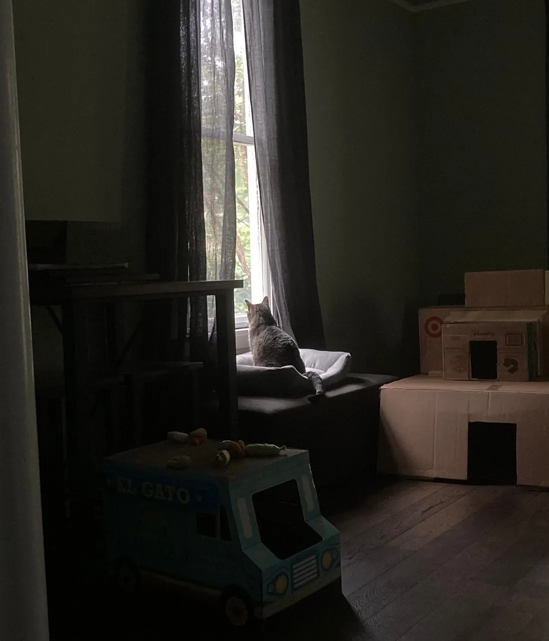 IMG-0676.jpg